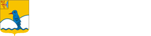 Укажите название организации.